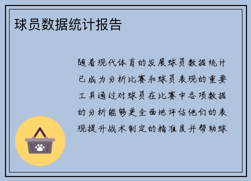 球员数据统计报告